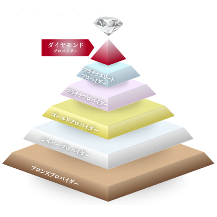矯正治療のプロバイダーレベル（ピラミッド図）